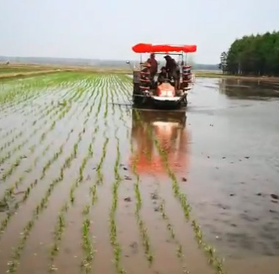 陳滿茹農(nóng)機